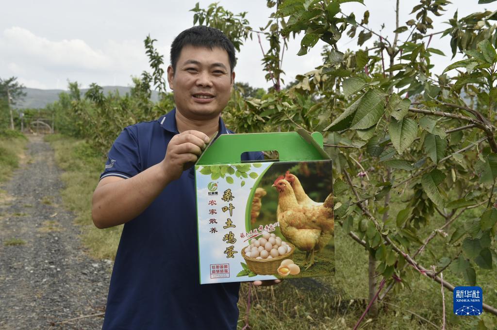 双色球走势图带连线